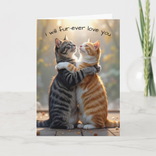 Anniversary Cats Hugging In Sunshine Card