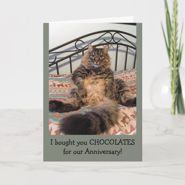Anniversary Chocolates Kimber Cat Anniversary Card (Front)