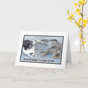 ANNIVERSARY CONTENTMENT/TWO SLEEPY CATS/ HUMOR CARD
