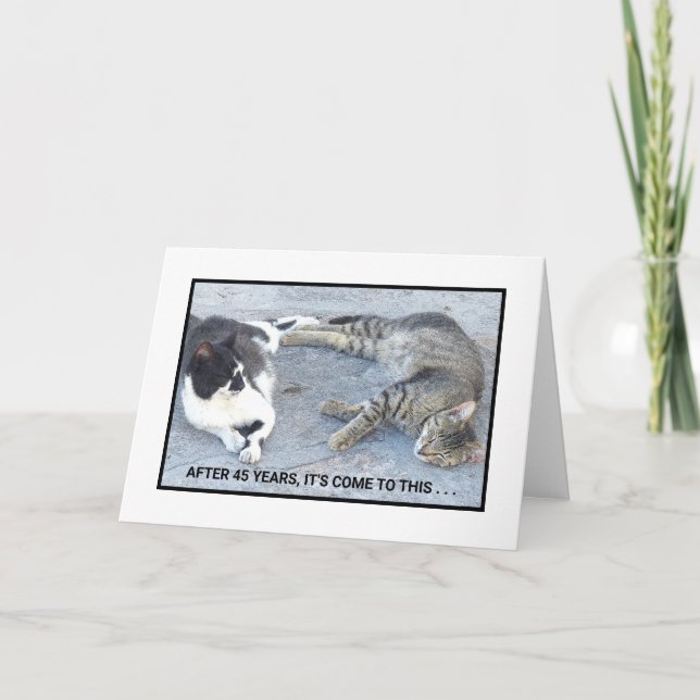 ANNIVERSARY CONTENTMENT/TWO SLEEPY CATS/ HUMOR CARD (Front)