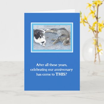 Anniversary Contentment/two Sleepy Cats/ Humor Card by whatawonderfulworld at Zazzle