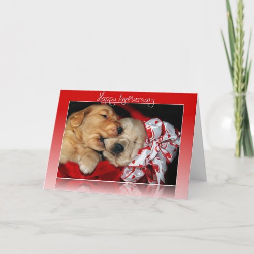 Anniversary Golden Retriever pups Card