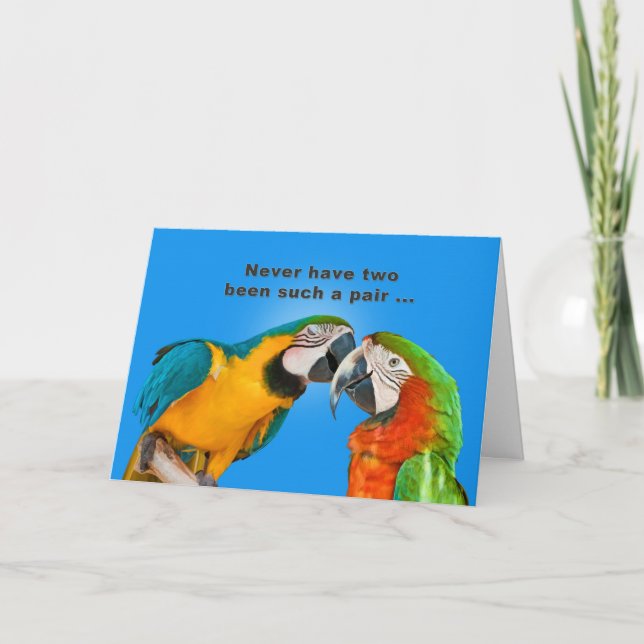 Anniversary, Humor, Parrots in Love Card (Front)