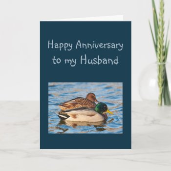 Anniversary Husband Ducks Water Bird Card by countrymousestudio at Zazzle