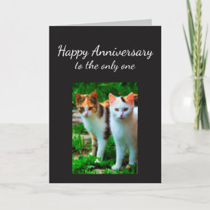 Anniversary Loved One Cat Humor Card