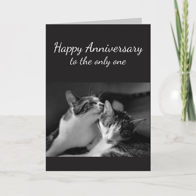 Anniversary Loved One Cat Humor Card (Front)