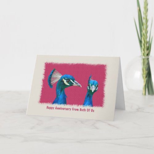 Anniversary Pair of Peacocks Card