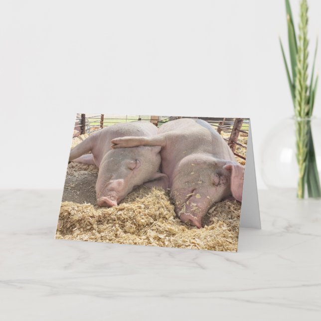Anniversary Pair Of Pigs In Pen Card (Front)
