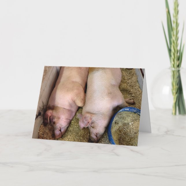 Anniversary Pair Of Pigs In Pigpen Card (Front)