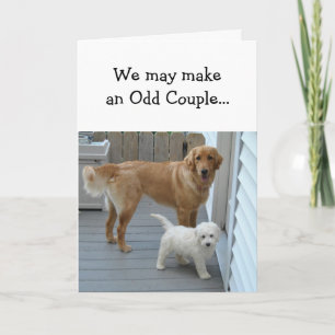 Anniversary Partner Sweetheart with Cute Dog Humor Card