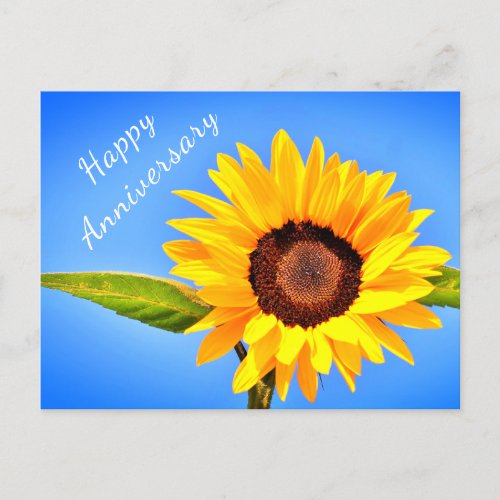 Anniversary Postcard Yellow Sunflower on Blue Sky