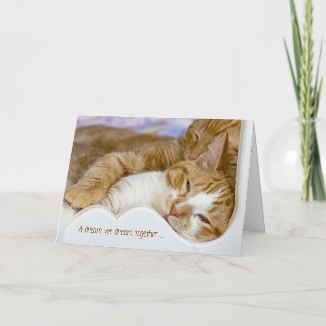 Anniversary Tabby Cats In Bed Card (Front)