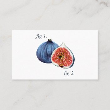 Annotated Figs Diagram Business Card by OblivionHead at Zazzle