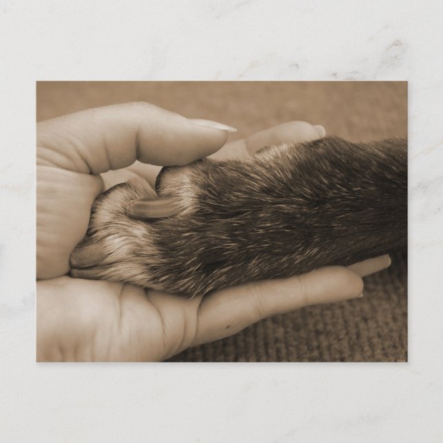 Announcement of new family member (Front)