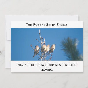 Announcement - Outgrown our nest ...