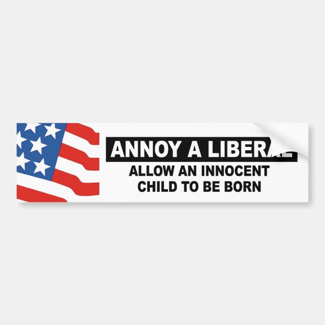ANNOY A LIBERAL- ALLOW AN INNOCENT CHILD BUMPER STICKER (Front)
