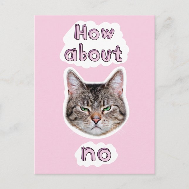 Annoyed Cat Invitation Postcard (Front)