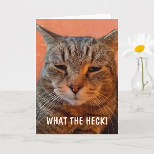 Annoyed Impatient Cat Get Well Card
