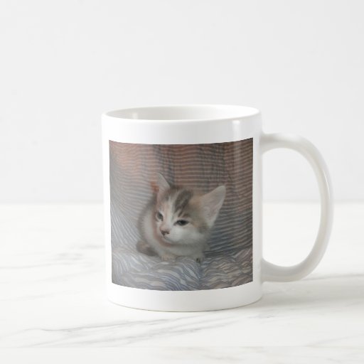 Annoyed Kitty Coffee Mug | Zazzle