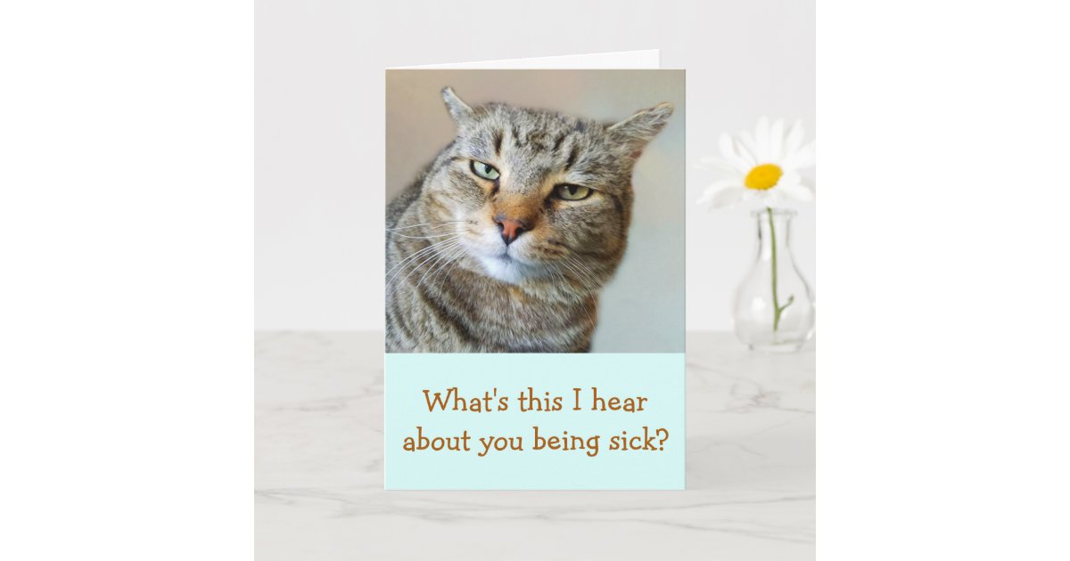 Annoyed, Worried, Concerned Cat Get Well Card | Zazzle
