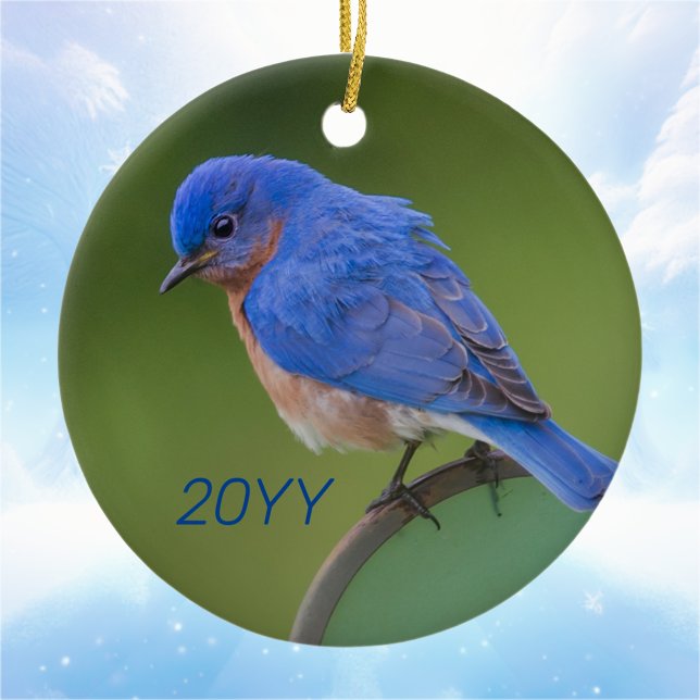 Annual Bluebird Christmas Ceramic Ornament (Creator Uploaded)