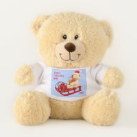 Annual Christmas Give A Teddy Bear Stuffed Animal