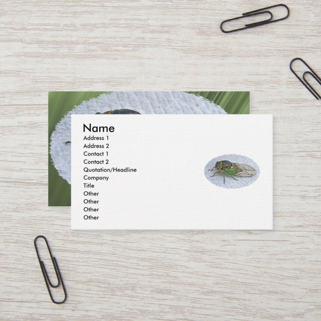 Annual Cicada Business Card (Front/Back In Situ)