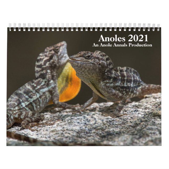Anole Annals 2021 Calendar (Cover)