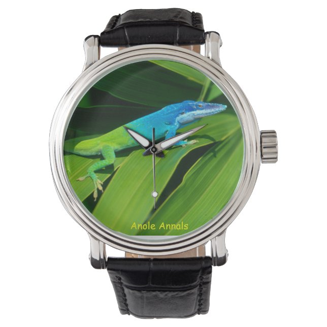 Anole Watch: Anolis allisoni Watch (Front)