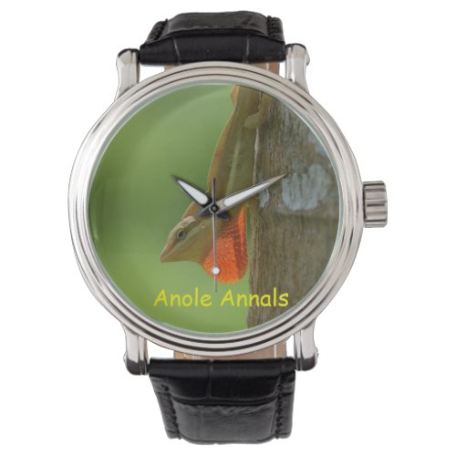 Anole Watch Anolis pulchellus Watch
