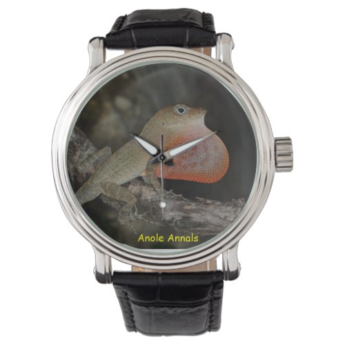Anole Wristwatch Anolis marcanoi Watch