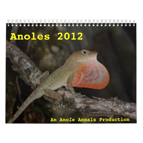 Anoles 2012 calendar