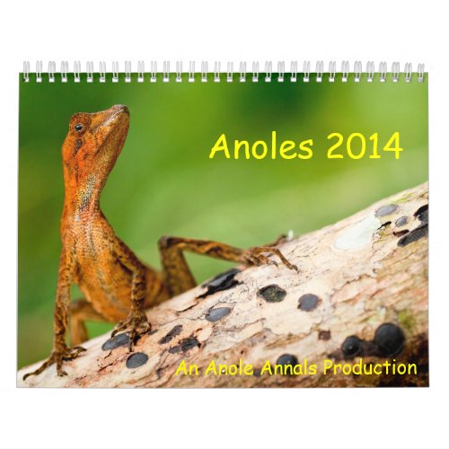 Anoles 2014 calendar