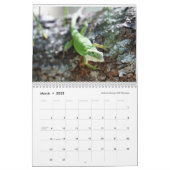 Anoles 2018 - An Anole Annals Production Calendar (Mar 2025)