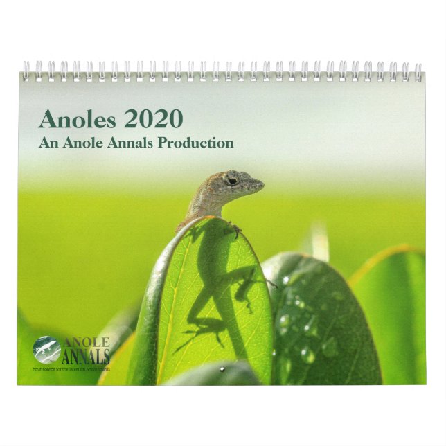 Anoles 2020 - An Anole Annals Production Calendar (Cover)