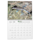 Anoles 2020 - An Anole Annals Production Calendar (Mar 2025)