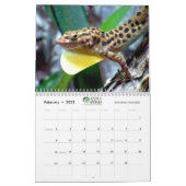 Anoles 2020 - An Anole Annals Production Calendar (Feb 2025)