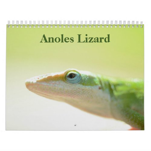 Anoles Lizard Calendar 2024