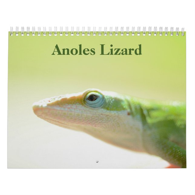 Anoles Lizard Calendar 2026 (Cover)