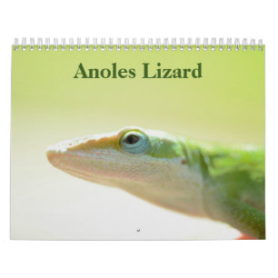 Anoles Lizard Calendar 2027