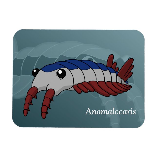 Anomalocaris- Prehistoric Animal Magnet (Horizontal)