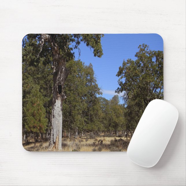 Another beautiful day.... mouse pad (With Mouse)