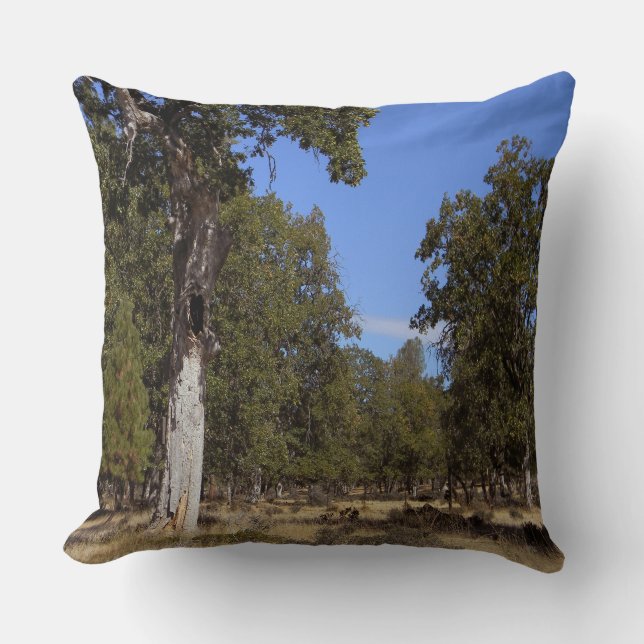 Another beautiful day.... throw pillow (Front)