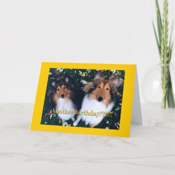 Another Birthday? Card by SimplyShelties at Zazzle