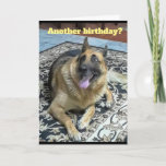 Another Birthday German Shepherd Greeting Card at Zazzle