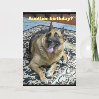 Another Birthday German Shepherd Greeting Card by busycrowstudio at Zazzle