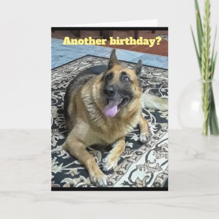 Another Birthday German Shepherd Greeting Card