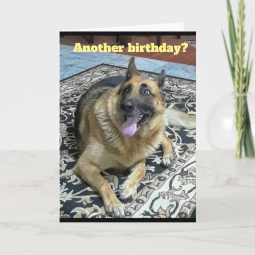 Another Birthday German Shepherd Greeting Card