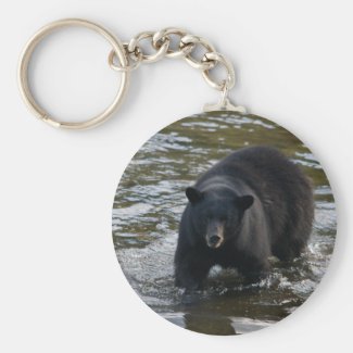 Another black bear key chain