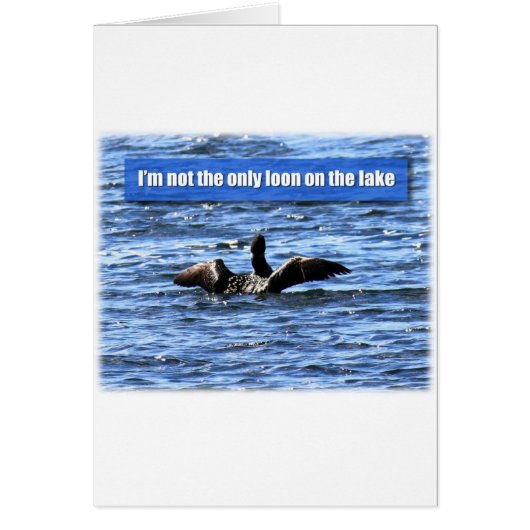 Another Loon on the Lake Cards (Front)